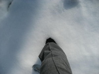 もうひとつ雪ネタ