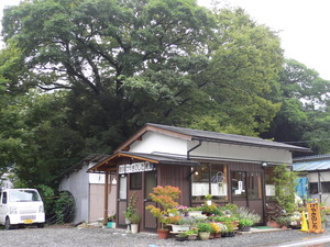 けやきのした　木下伴廣さんのメッセージ
