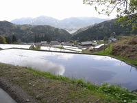 4月からのこのＢｌｏｇ