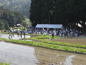 田植え