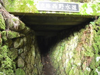 河毛駅で◎◎に遭遇！（6/5の出来事 4 ）