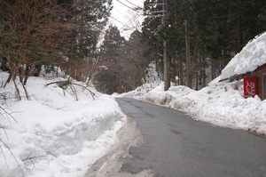 【しが】農村の魅力発信｜針畑
