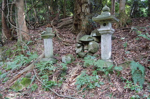 余呉トレイル　後編