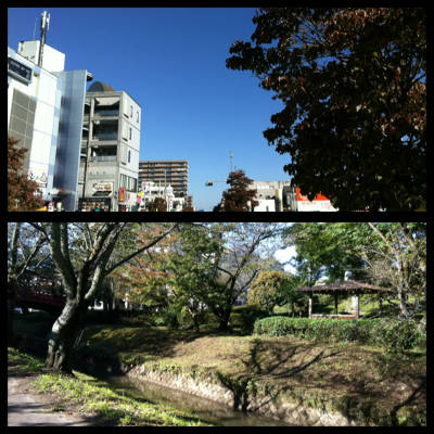 快晴です