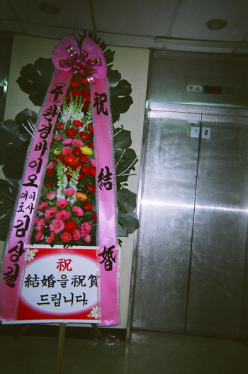 韓国結婚式２