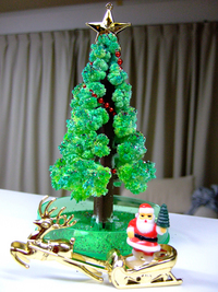 クリスマスパーティーにて