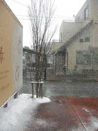吹雪・・・