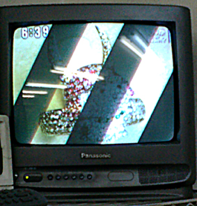 またもパヴェひこにゃんがTVに！