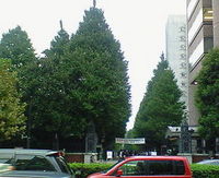 東京通信12〜華やかどころも