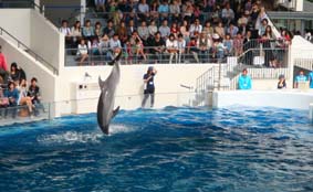 京都水族館に行きましたが・・・