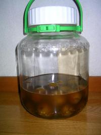 黒糖梅酒