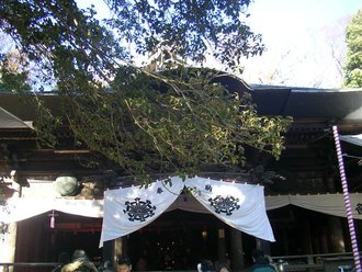 深大寺と神代植物園にいきました。
