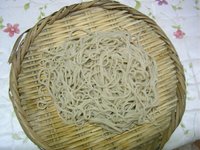 また親シラズぬきました