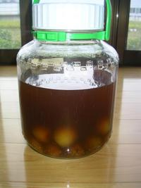 教えてください　黒糖梅酒の造り方
