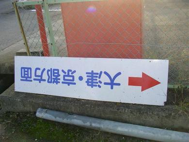 台風でこんなものまで飛んできた