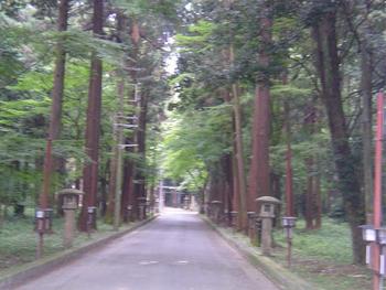 東海道街歩き　土山→水口へ