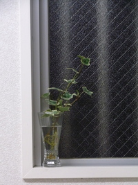 お買い上げ品のその後