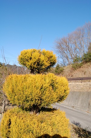ぶらっと散歩