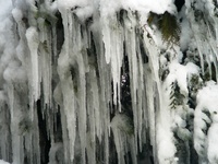 雪景色を見ながら出張