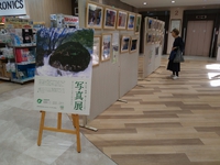「森林・緑と水といのち」写真展、巡回展示中