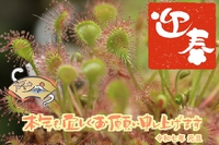 ２０２５年　謹賀新年 【内容更新】