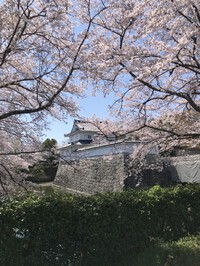 水口の酒蔵旅