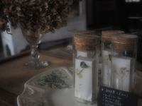◯追納させていただきました◯〜「「Relier marche」-湖都の手仕事展-