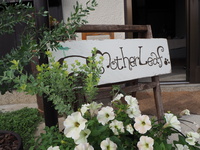 ◯お礼◯〜Mother Leafさんのおうちショップ