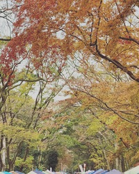 ◯お礼◯〜森の手づくり市〜