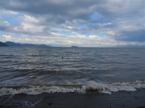 合歓木・・ネジバナ・・琵琶湖岸