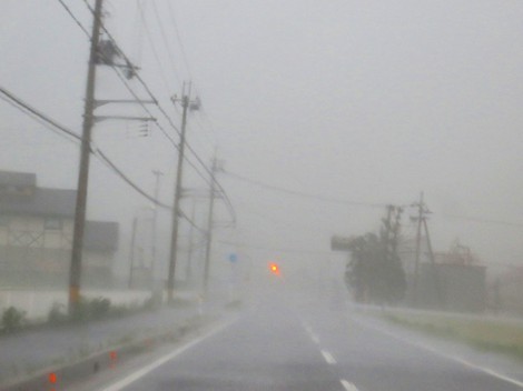 暑さ～頑張る！夕方に豪雨と強風・・雷鳴で気温も急降下・・