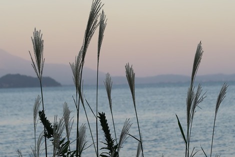 夕暮れは琵琶湖岸から