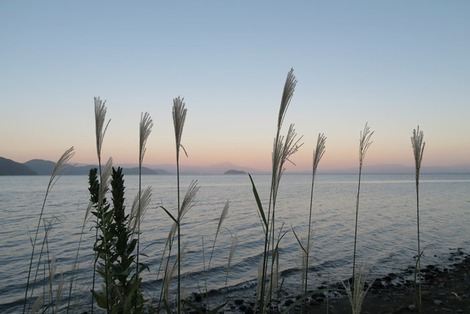 夕暮れは琵琶湖岸から