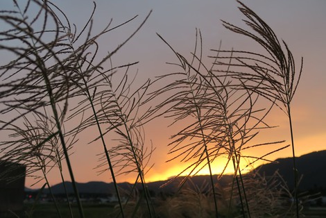 夕焼け・・１０月