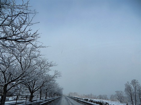 30日遅くまで寒気団が居座りそうと・・雪景色