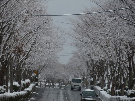 30日遅くまで寒気団が居座りそうと・・雪景色
