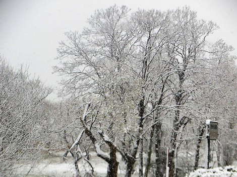 30日遅くまで寒気団が居座りそうと・・雪景色