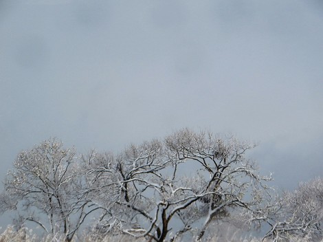 30日遅くまで寒気団が居座りそうと・・雪景色