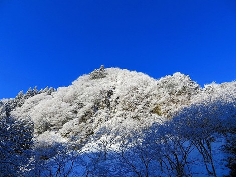 青空の一日・・冷えて一日・・