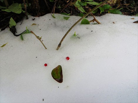 イブの雪風景・・・