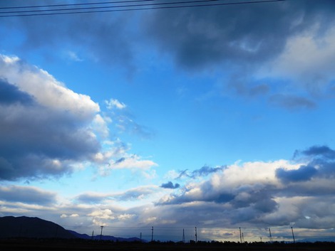 土曜日も小雨ばかりでした