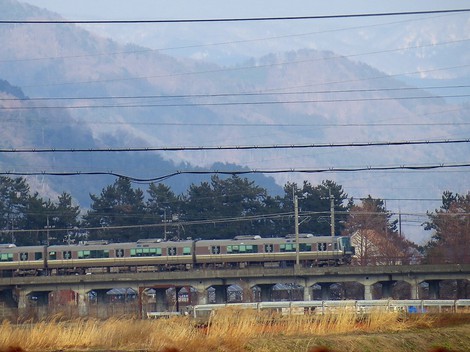 土筆が・・足元に知らぬ間に・・
