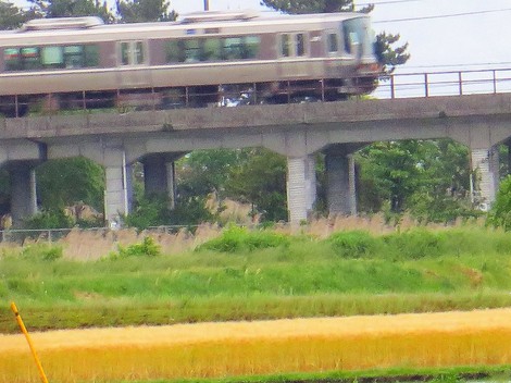 期待のお日様見えず・・土曜日はヒンヤリ気温