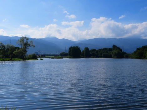 暑くても緑は深く・・琵琶湖も