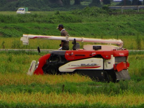 湿度が高くって・・我が身の動きも鈍る
