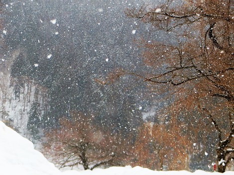 まだ寒いけど・・大雪は遠ざかったようで・・