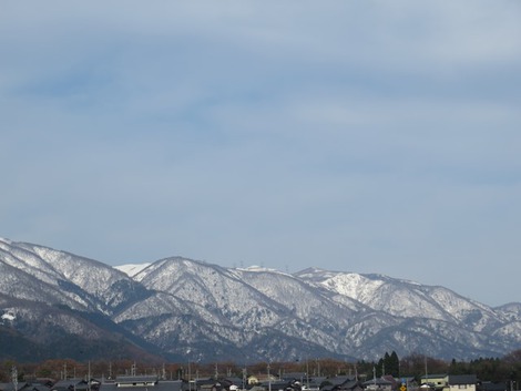 山の雪～コハクチョウ～朝の琵琶湖