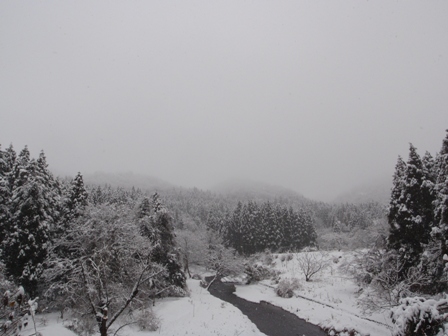 今日も、雪の中で・・
