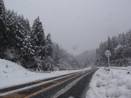 今日も、雪の中で・・