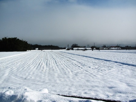 今日も、雪の中で・・